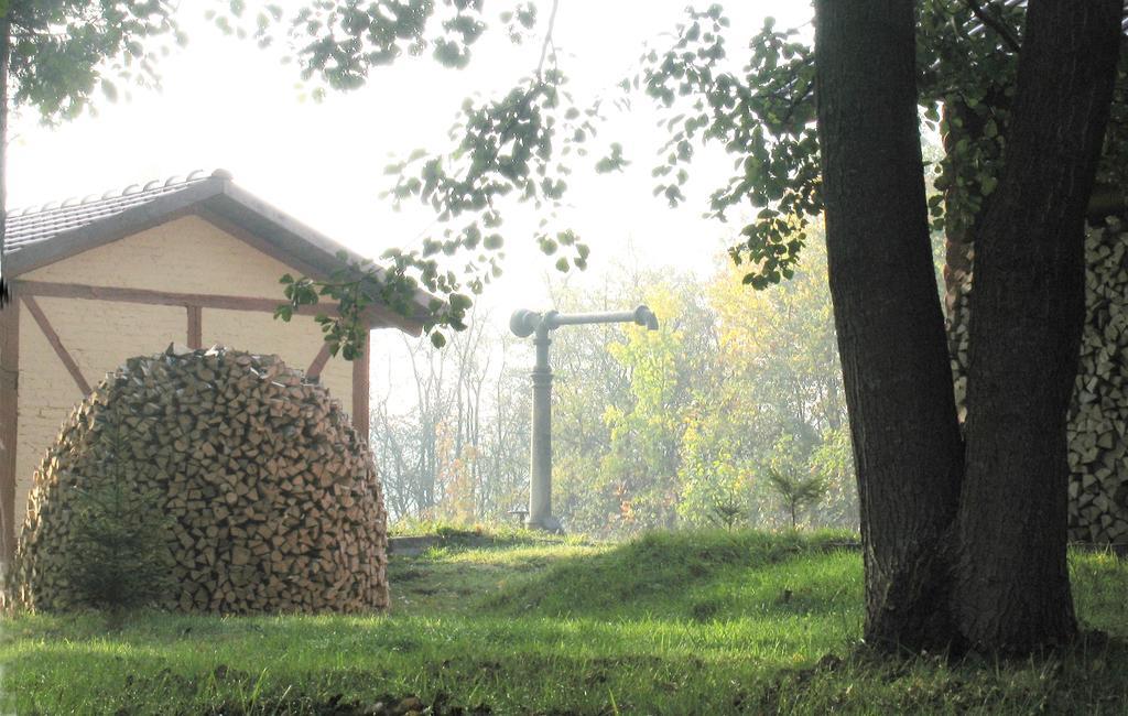 Apartamenty Carskie Białowieża Kültér fotó